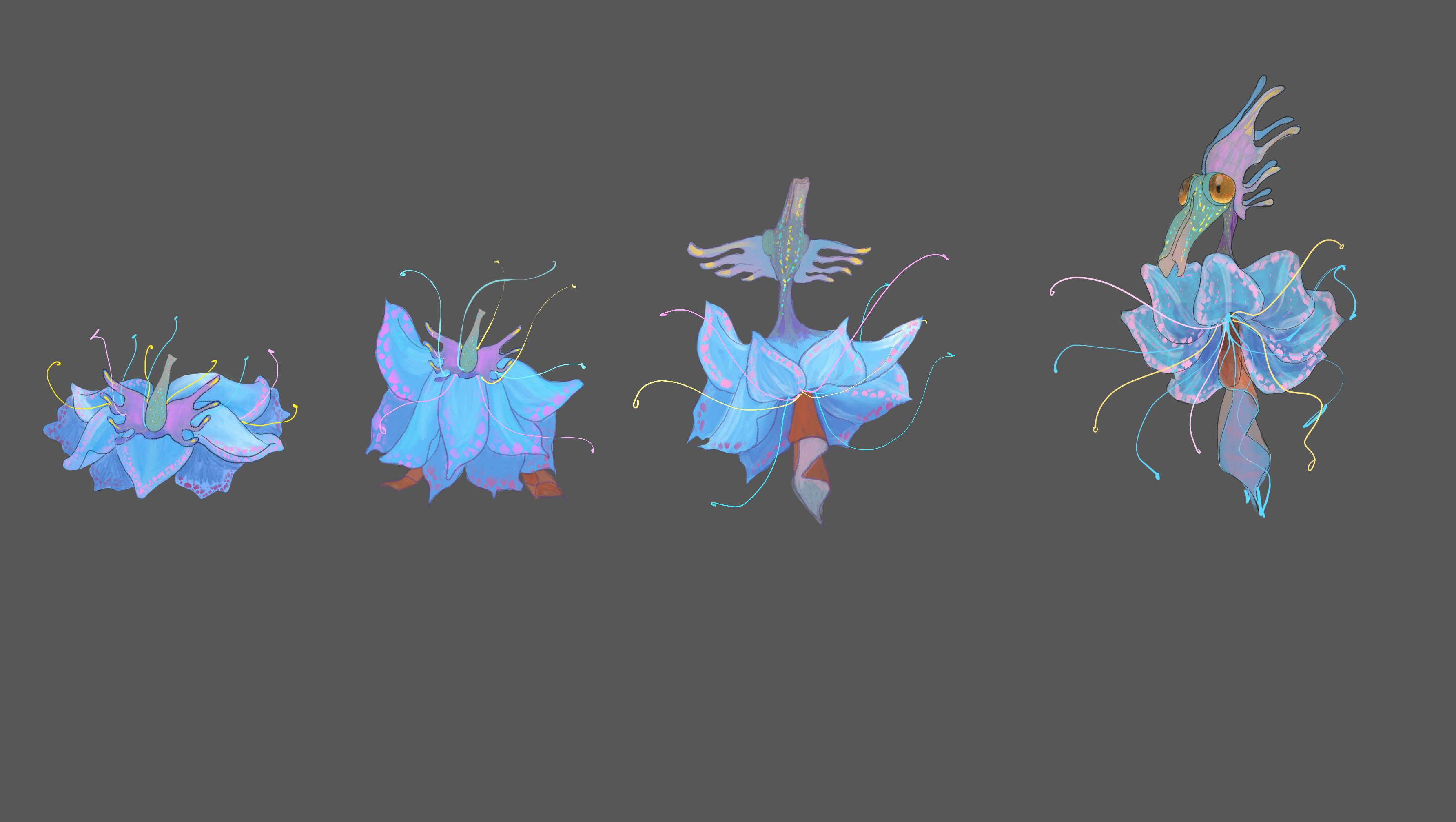 Asset 4.1